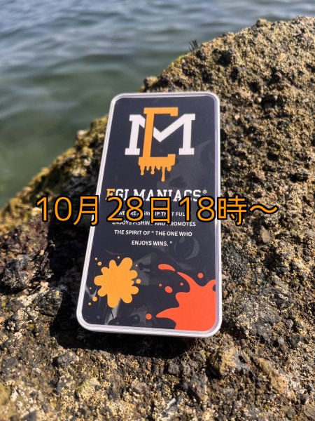 画像2: 送料無料エギマニ マルチケース(小物用) (2)