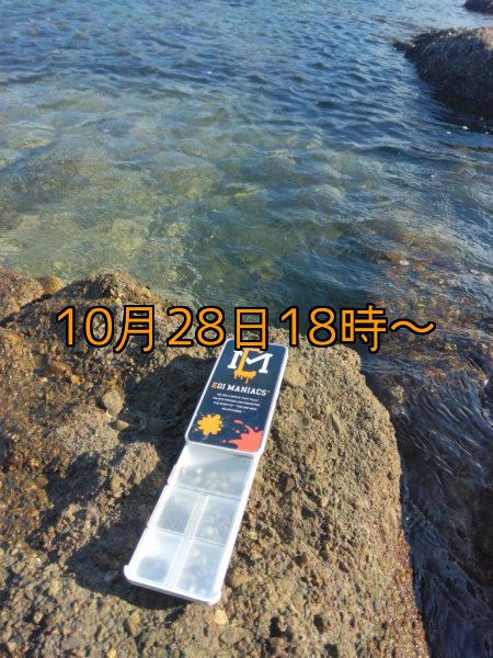 画像11: 送料無料エギマニ マルチケース(小物用) (11)