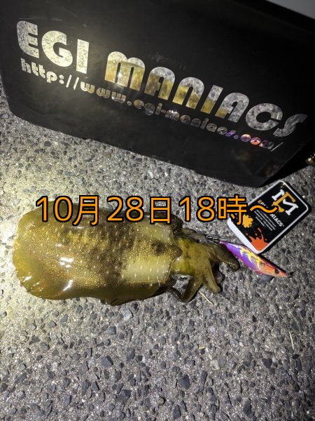 画像10: 送料無料エギマニ マルチケース(小物用) (10)