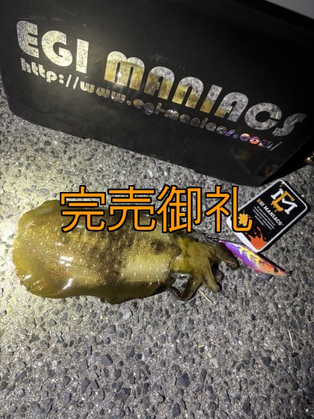 画像10: 送料無料エギマニ マルチケース(小物用) (10)