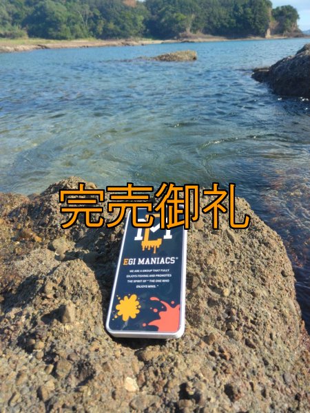 画像8: 送料無料エギマニ マルチケース(小物用) (8)