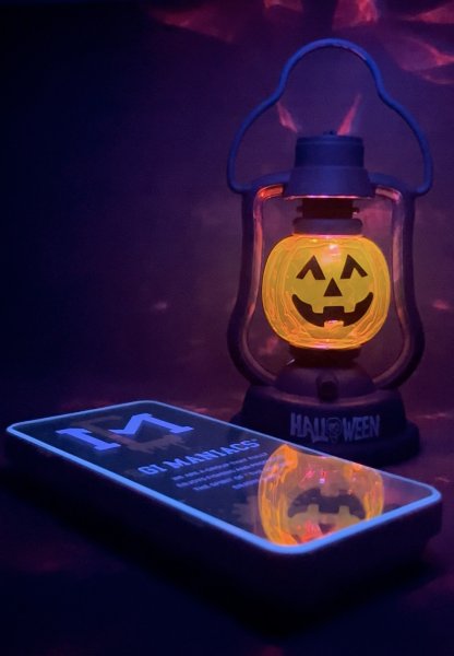 画像1: 送料無料エギマニ マルチケース(小物用) (1)