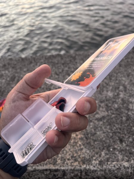 画像3: 送料無料エギマニ マルチケース(小物用) (3)