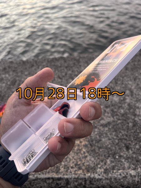 画像3: 送料無料エギマニ マルチケース(小物用) (3)