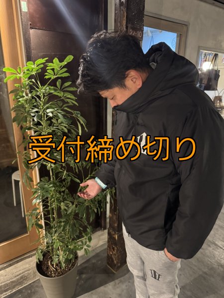 画像8: 受注生産  CRAYNOS 中綿アウタージャケット (8)