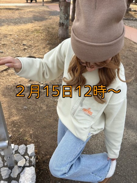 画像34: 【受注生産商品】  CRAYNOS クルーネックフリース (34)