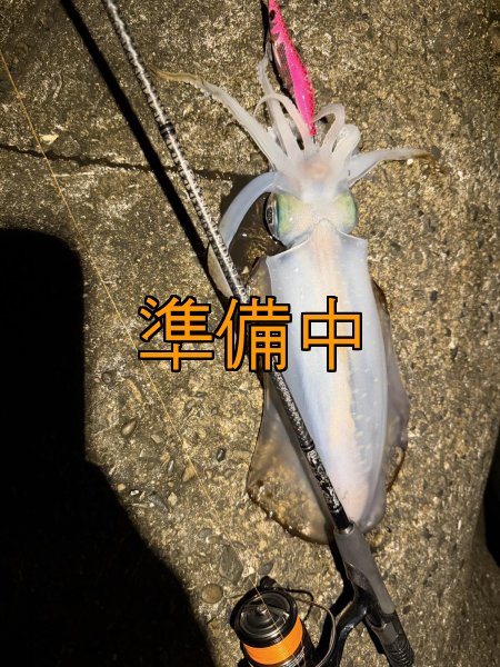 画像10: 合言葉限定 CRAYNOS TRIDENT 708 MX 【M46X】 (10)