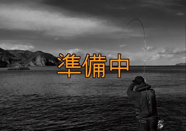 画像4: 合言葉限定 CRAYNOS TRIDENT 708 MX 【M46X】 (4)