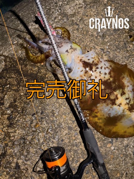 画像10: 先行予約限定 CRAYNOS TRIDENT 708 MX 【M46X】CORK (10)