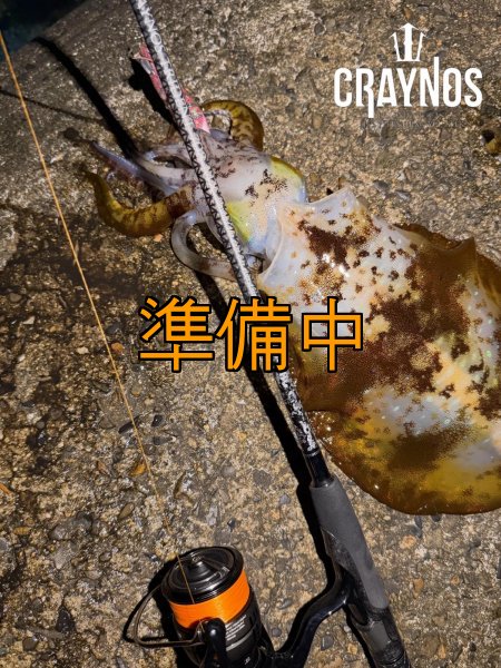 画像9: 合言葉限定 CRAYNOS TRIDENT 708 MX 【M46X】 (9)