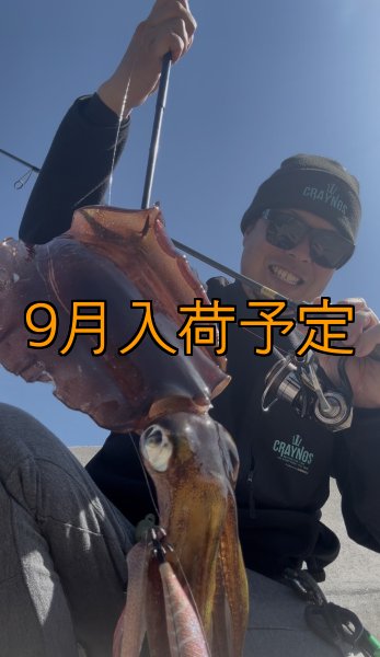 画像4: CRAYNOS TRIDENT 704 MX【東レ  M46X】CORK (4)