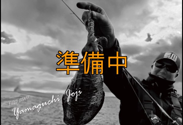 画像3: 合言葉限定 CRAYNOS TRIDENT 704 MX 【M46X】 (3)