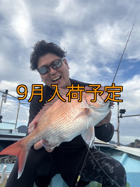 画像9: CRAYNOS RED ∞ Vibes 505GC【END JOINT】 (9)