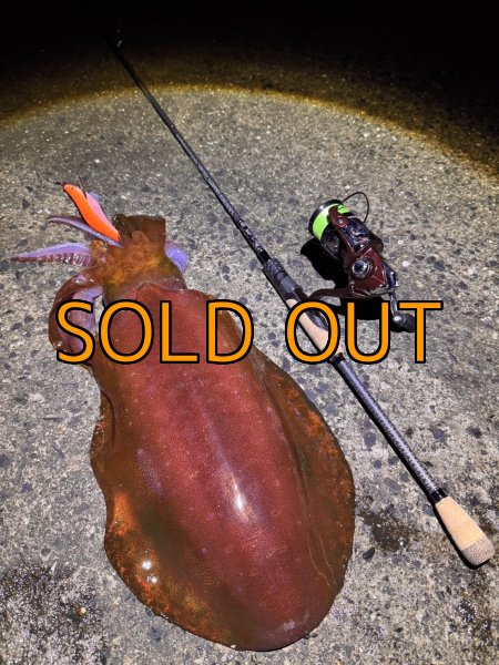 画像7: CRAYNOS TRIDENT 704 MX 【M46X】EVA type (7)