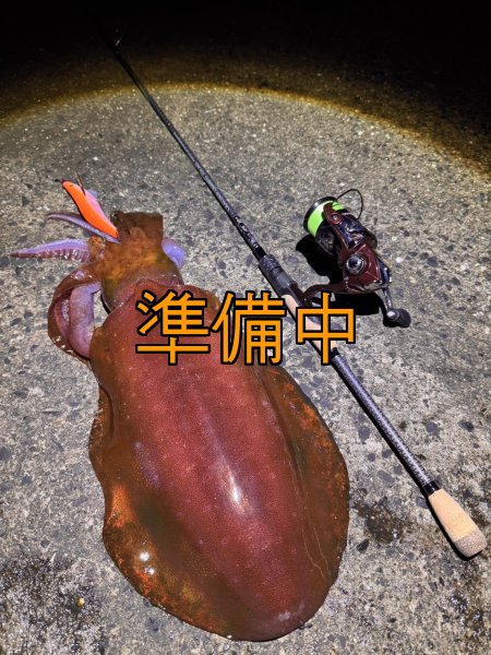 画像7: 合言葉限定 CRAYNOS TRIDENT 704 MX 【M46X】 (7)