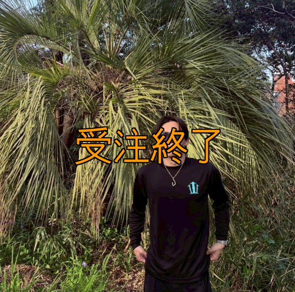 画像6: 受注生産  CRAYNOSシルキードライ/ロンT (6)
