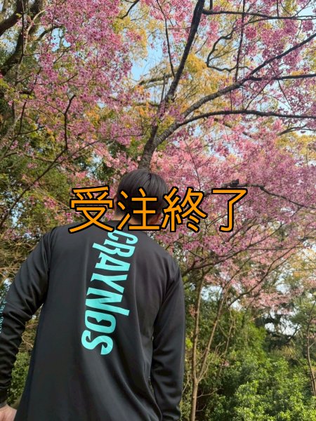画像1: 受注生産  CRAYNOSシルキードライ/ロンT (1)