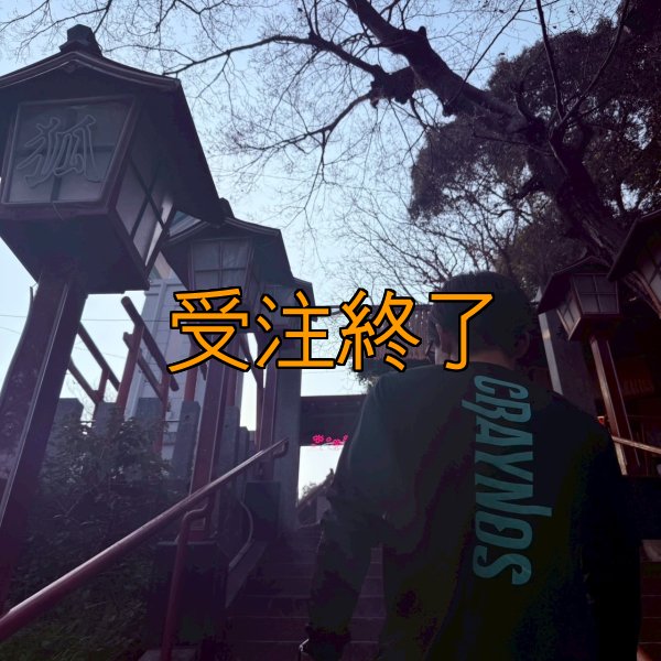 画像12: 受注生産  CRAYNOSシルキードライ/ロンT (12)