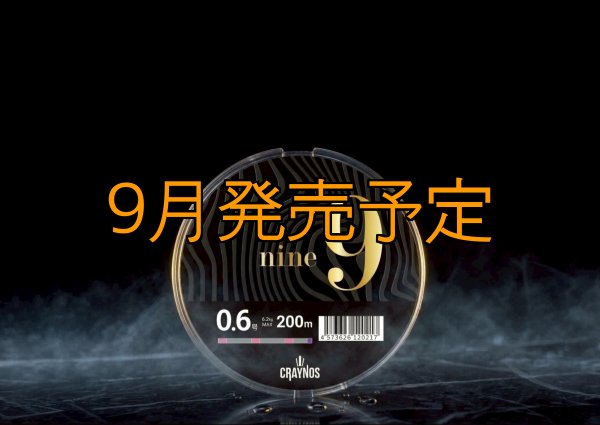 画像2: 【LUNA PINK】nine9 0.6-200m  (2)